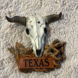 Texas Longhorn Skull magnet